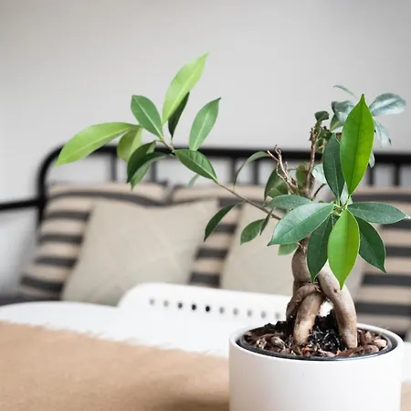 Апартаменты Casa Limoncino By Locap Group