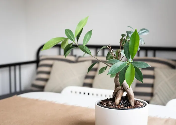 Lägenhet Casa Limoncino By Locap Group